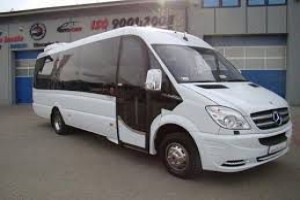 Mercedes Sprinter 2010